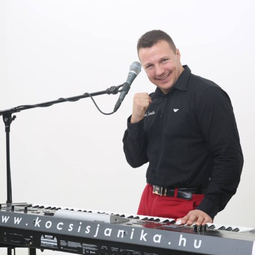 Kocsis Janika – Suzuki (Original)