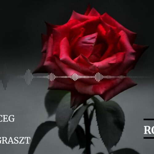 Herceg feat Parno Graszt: Rózsám 2024. New